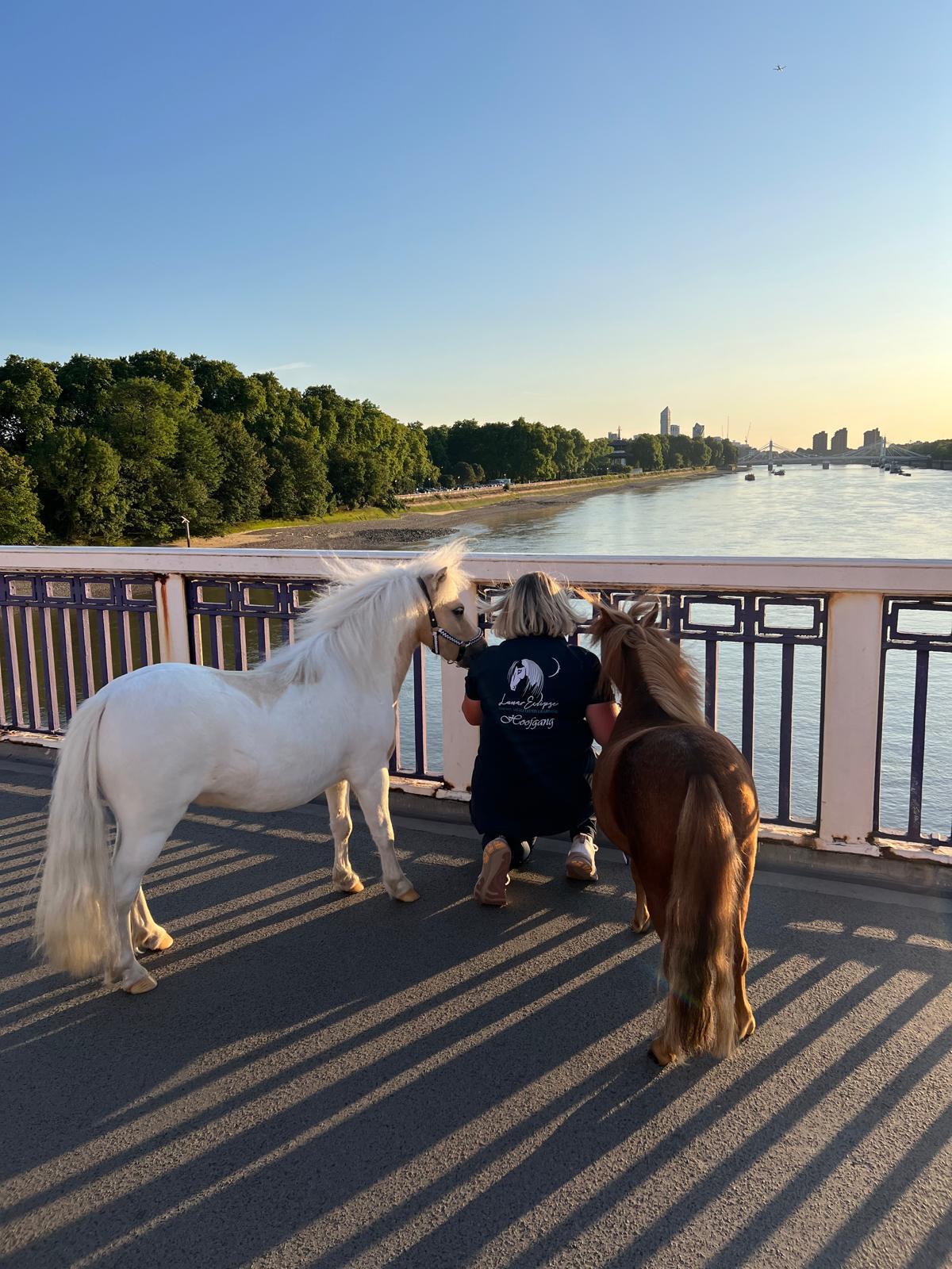 Longines Global Champions Tour